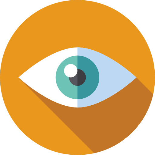 Vision Icon